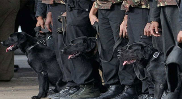 Commando