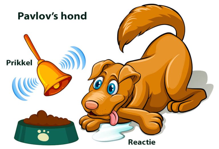 Pavlov en zijn hond